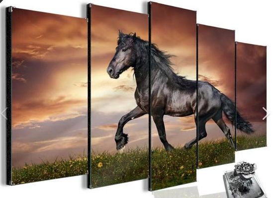 Multi регулятор стены угла 20W HDMI видео- с художественной свободой